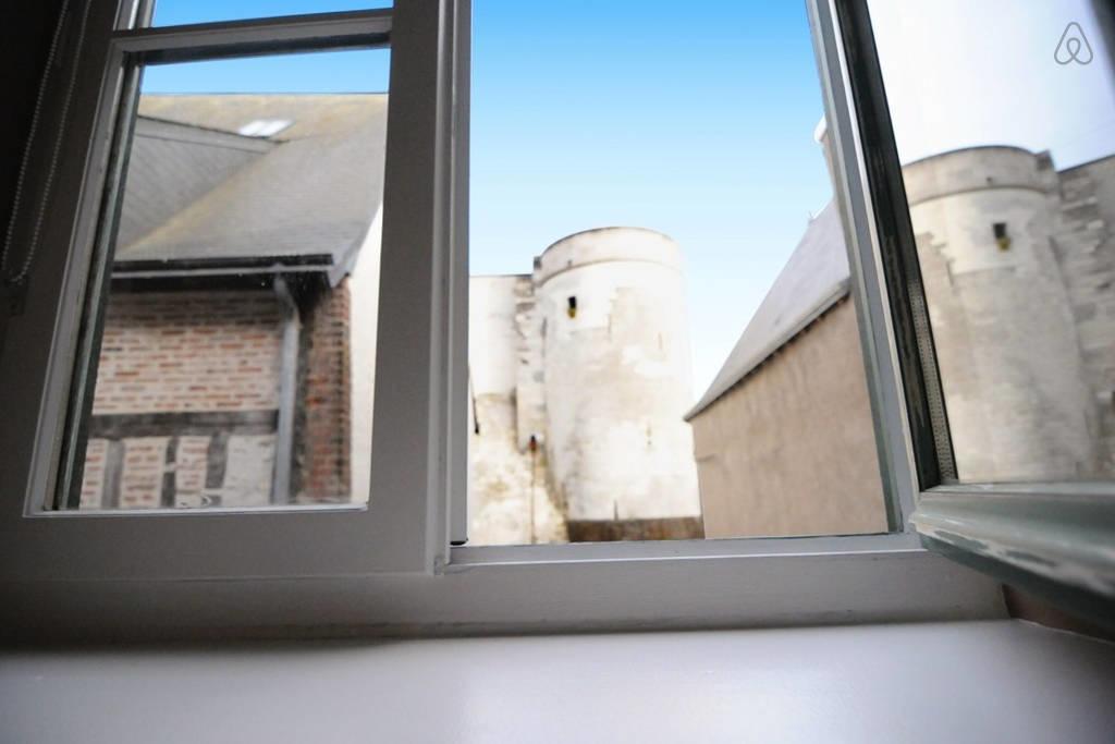Appartement De Charme Climatise Pour 6 A 8 Pers أمبُواز الغرفة الصورة